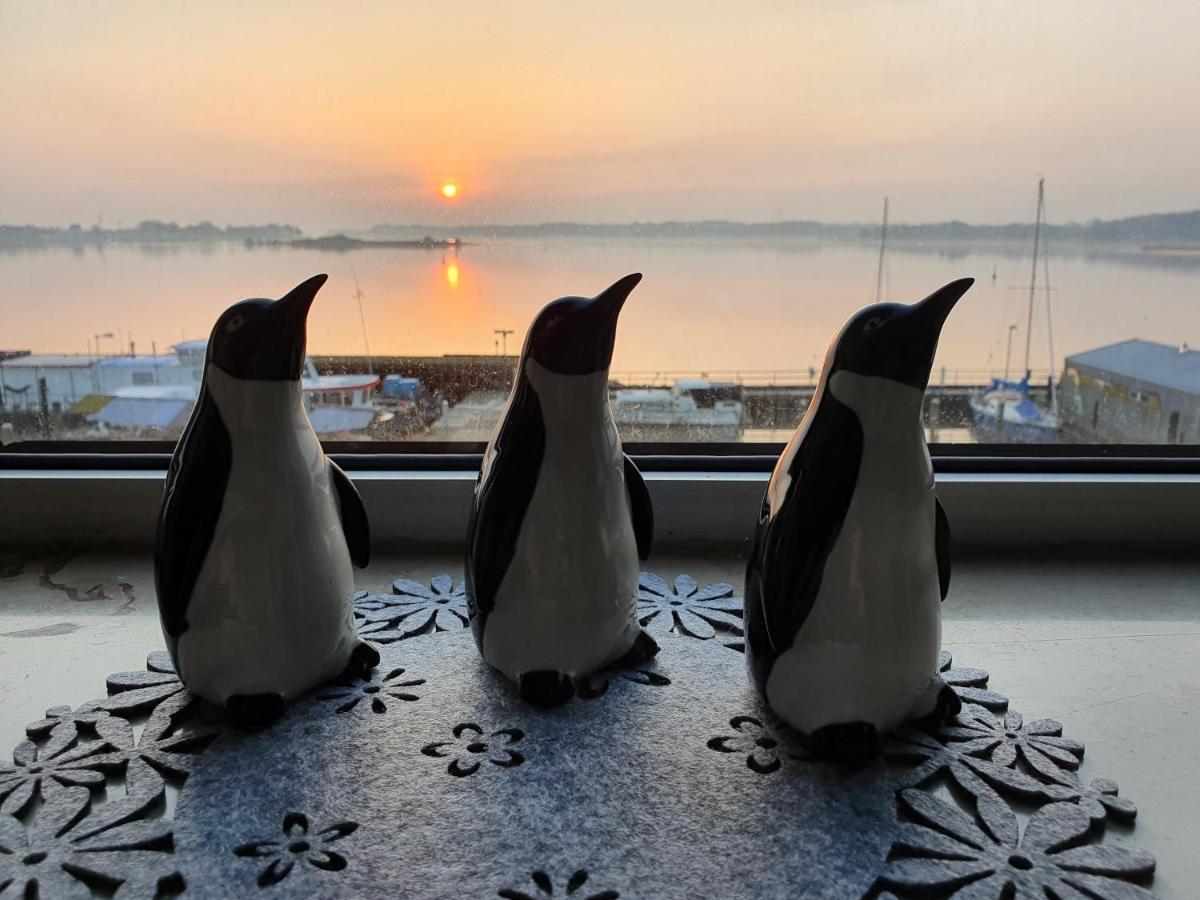Ferienwohnung Schleiloge mit Panoramablick auf die Schlei Schleswig Exterior foto